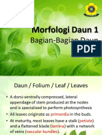 Morfologi Daun