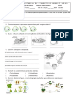 Avaliação Sobre Protozoários e Plantas