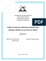 Análise Dos Impactos Ambientais Produzidos Pelas Mudanças Climáticas Na Provincia de Maputo