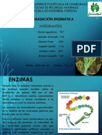 DEGRADACIÓN ENZIMÁTICA - Corregido