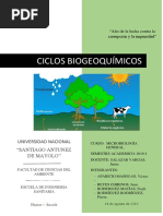 Ciclos Biogeoquimicos