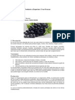 Característica: Nombre: Uvas Frescas Partida Arancelaria: 0806100000