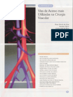 04 - Vias de Acesso Mais Utilizadas Na Cirurgia Vascular