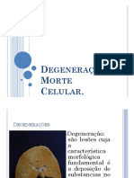 Degeneração Da Pele