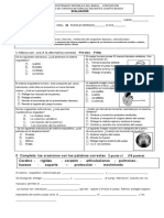 Prueba Sistema Esqueletico PDF