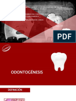 ODONTOGÉNESIS