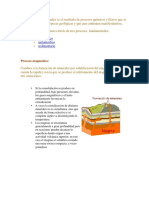 Formacion de Los Minerales