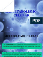 El Metabolismo Celular