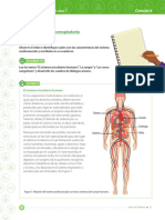 Taller Sistema Circulatorio PDF