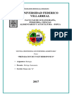 Informe Lechuga Hidroponica