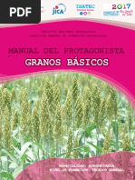 Granos Basicos PDF