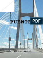 Monografía Puentes Calabró