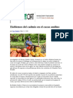 Hablemos Del Cadmio en El Cacao Andino