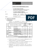 Modelo de Informe Tecnico 02