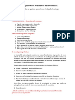 Guia para Elaboracion de Un Sistema de Informacion Con Entregas