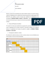 Programa y Plan de Auditoria AA2