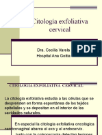 Citologiaexfoliativacervical 110225174348 Phpapp02 PDF