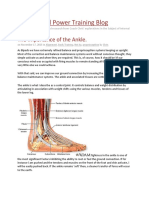 The Importance of The Ankle