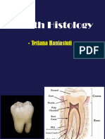 Histologi Gigi