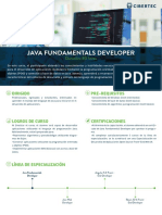 Java Fundamentals Developer