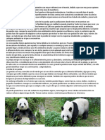 Los Osos Pandas