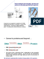 Nucleic Acids