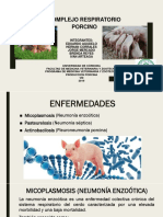 Enfermedades Porcinas