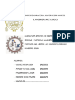 Informe Ensayo Particulas Magneticas