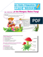 Reino Fungi para Cuarto de Primaria PDF