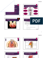 ANATOMIA E Fisiologia Cardíaca Aula 1