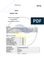 RAIZAL Fichatecnica131109 PDF