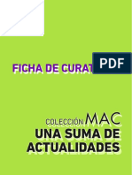 Ficha Curatoria Coleccion Mac Ok