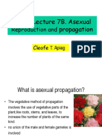 CS 32 Lec. 7b.asexual Propagation