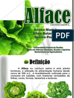 Alface (Lactuca Sativa)