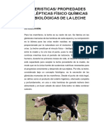 Caracteristicas de La Leche