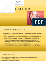 Periodo Fetal