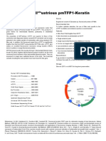 PmTFP1 Keratin