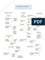 Mapa Conceptual