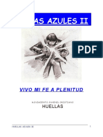 5 Azules 2 Vivo Mi Fe A Plenitud