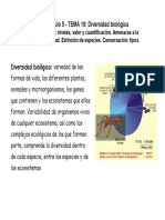 Tema 19 - Diversidad