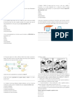 Revisão de Ciências Propriedades Do Ar