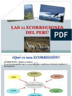 Ecorregiones 1 20145574