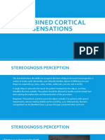 Combined Cortical Sensations