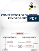 Puestos Organicos e Inorganicos