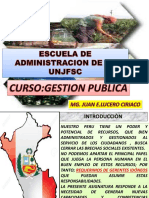 GESTION PUBLICA PARA PRE GRADO .PPT Juan