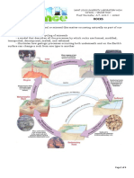 ES-Lesson 4 Rocks PDF