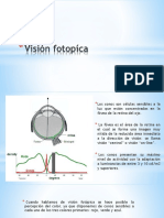 Tipos de Visión