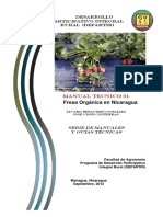 PDF Frutillas