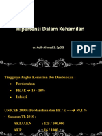 Hipertensi Dalam Kehamilan FK Unizar DR Adip