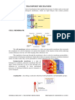 Transport Mechanism